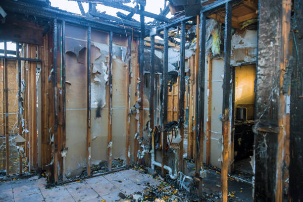 Professional Fire Damage Removal technician working in Cave City, AR